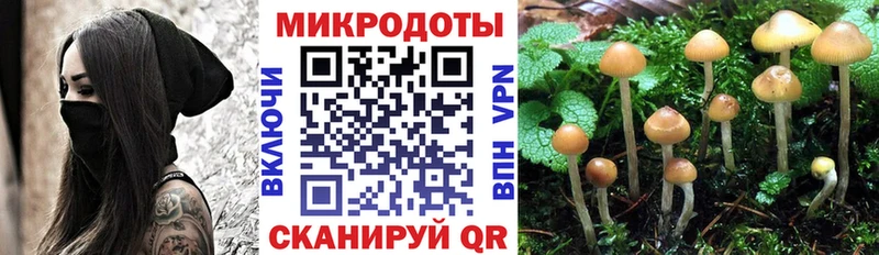 Галлюциногенные грибы ЛСД  дарнет шоп  Новая Усмань 